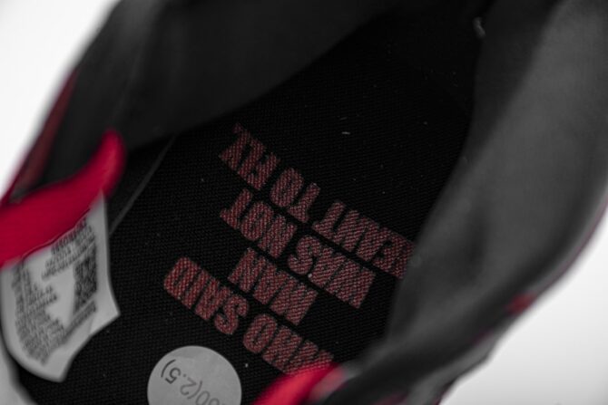 AIR JORDAN 1 RETRO HIGH OG 'BLOODLINE' REPLICA - immagine 2